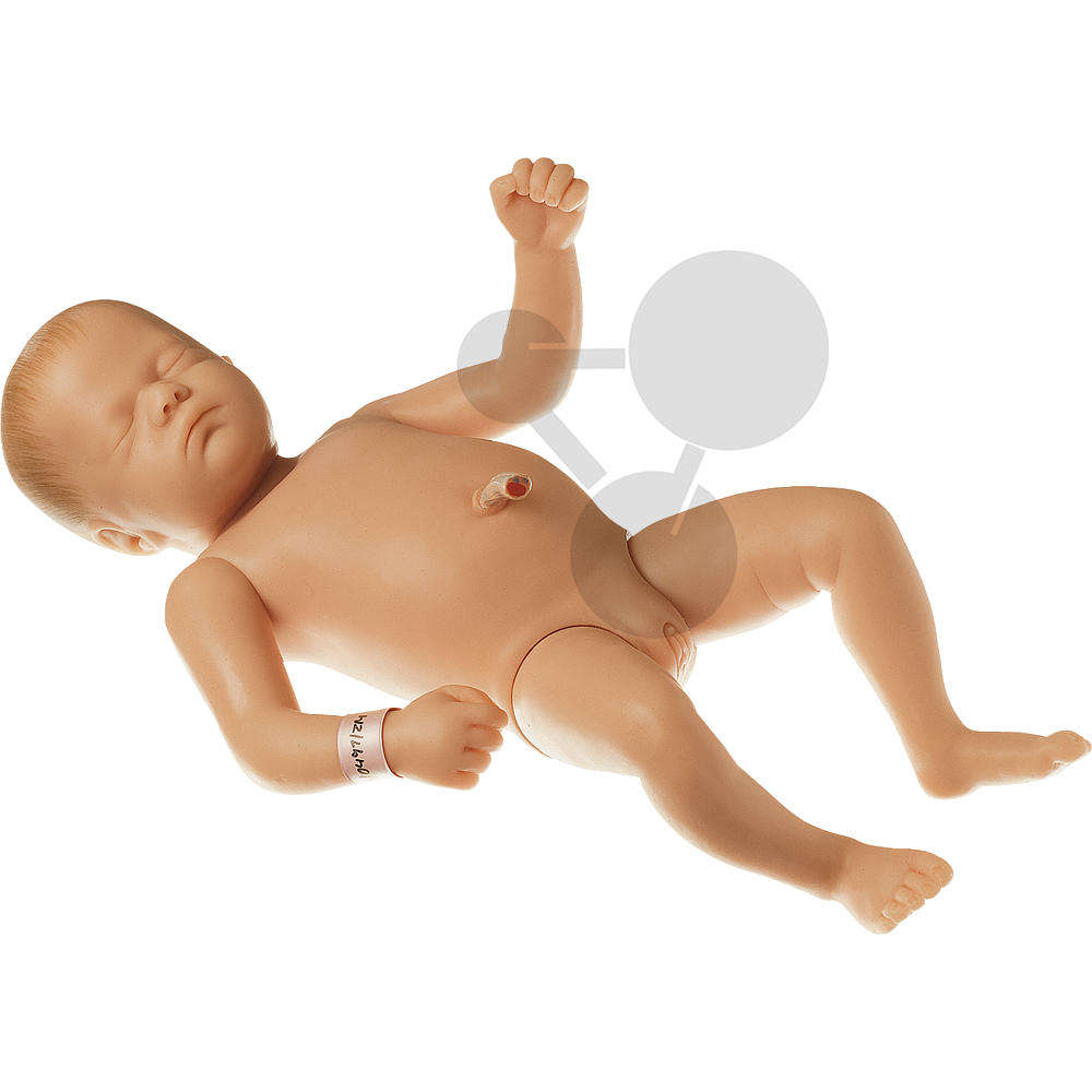 Neugeborenenbaby  weiblich SOMSO®-Modell