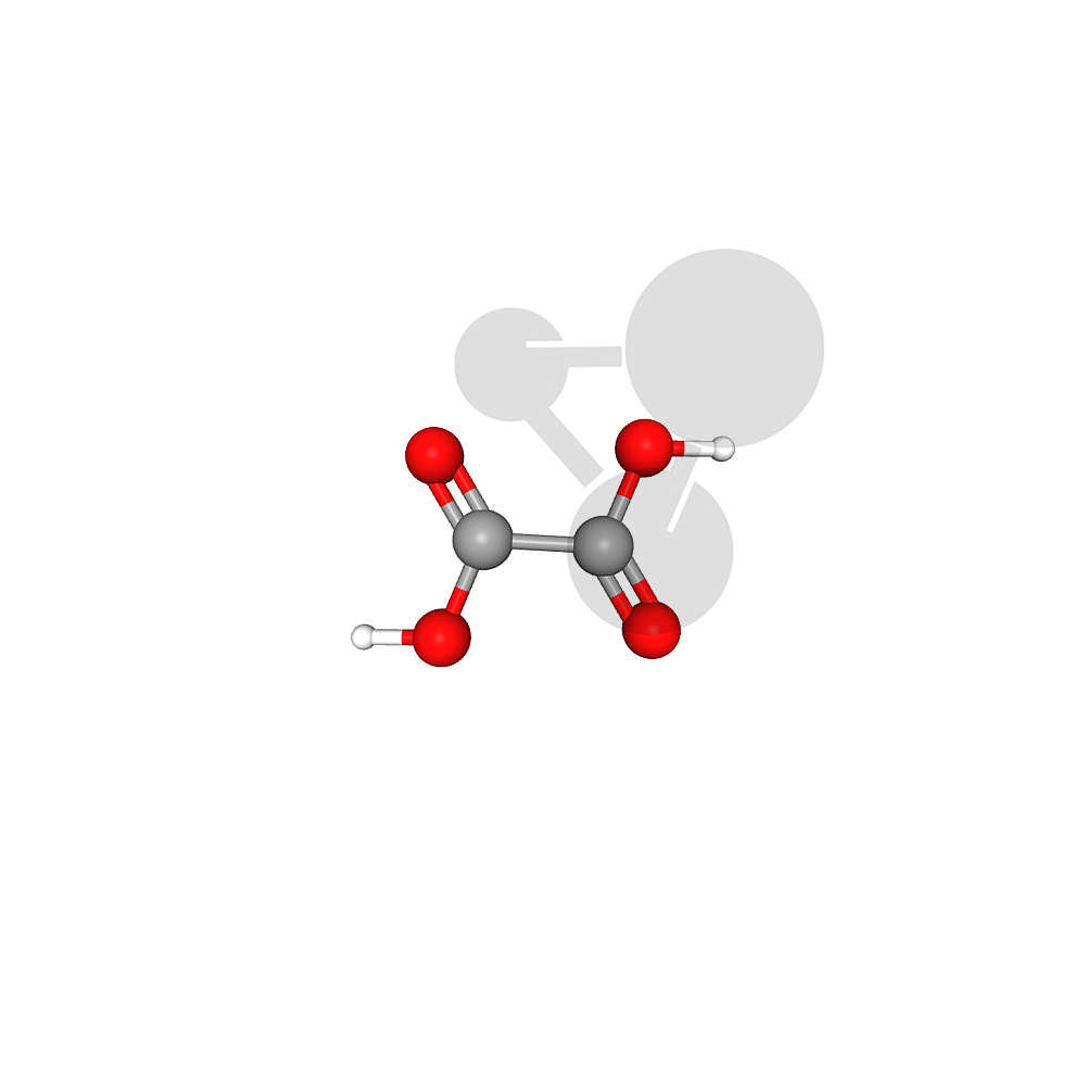 Oxylate de fer (II) 100 g