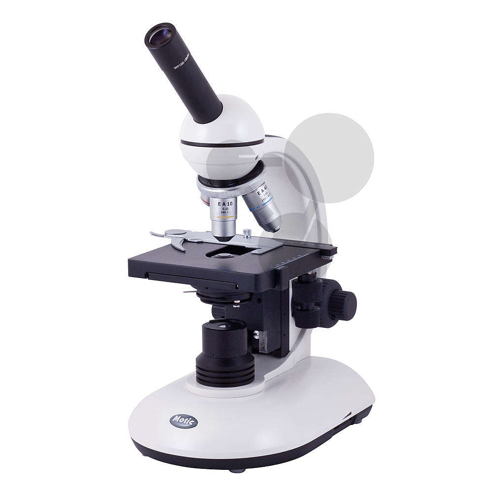 Microscope 2802